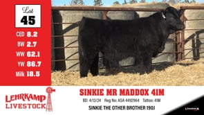 Lot #45 - SINKIE MR MADDOX 41M