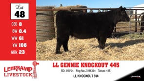 Lot #48 - LL GENNIE KNOCKOUT 445