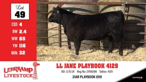 Lot #49 - LL JANE PLAYBOOK 4129