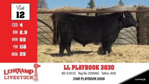 Lot #12 - LL PLAYBOOK 3030