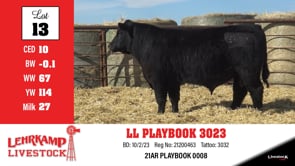 Lot #13 - LL PLAYBOOK 3023