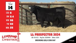 Lot #14 - LL PROSPECTOR 3034