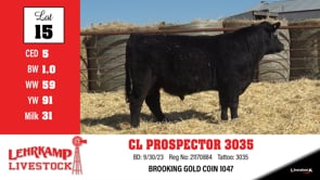 Lot #15 - CL PROSPECTOR 3035