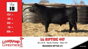 Lot #18 - LL RIPTIDE 447