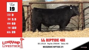 Lot #19 - LL RIPTIDE 461