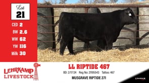 Lot #21 - LL RIPTIDE 467