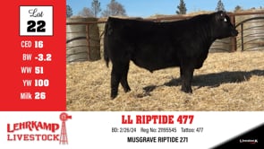Lot #22 - LL RIPTIDE 477