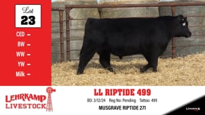 Lot #23 - LL RIPTIDE 499