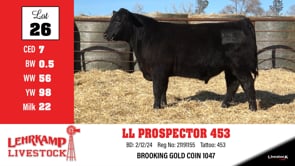 Lot #26 - LL PROSPECTOR 453