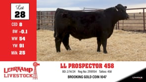 Lot #28 - LL PROSPECTOR 458