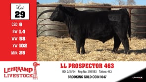 Lot #29 - LL PROSPECTOR 463