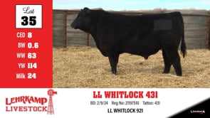 Lot #35 - LL WHITLOCK 431