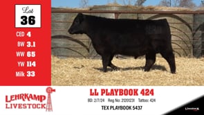 Lot #36 - LL PLAYBOOK 424