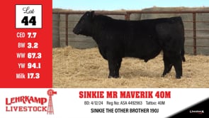 Lot #44 - *** OUT *** SINKIE MR MAVERIK 40M