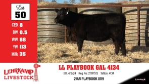 Lot #50 - LL PLAYBOOK GAL 4134