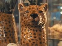 Related Embedded Video Item Thumbnail