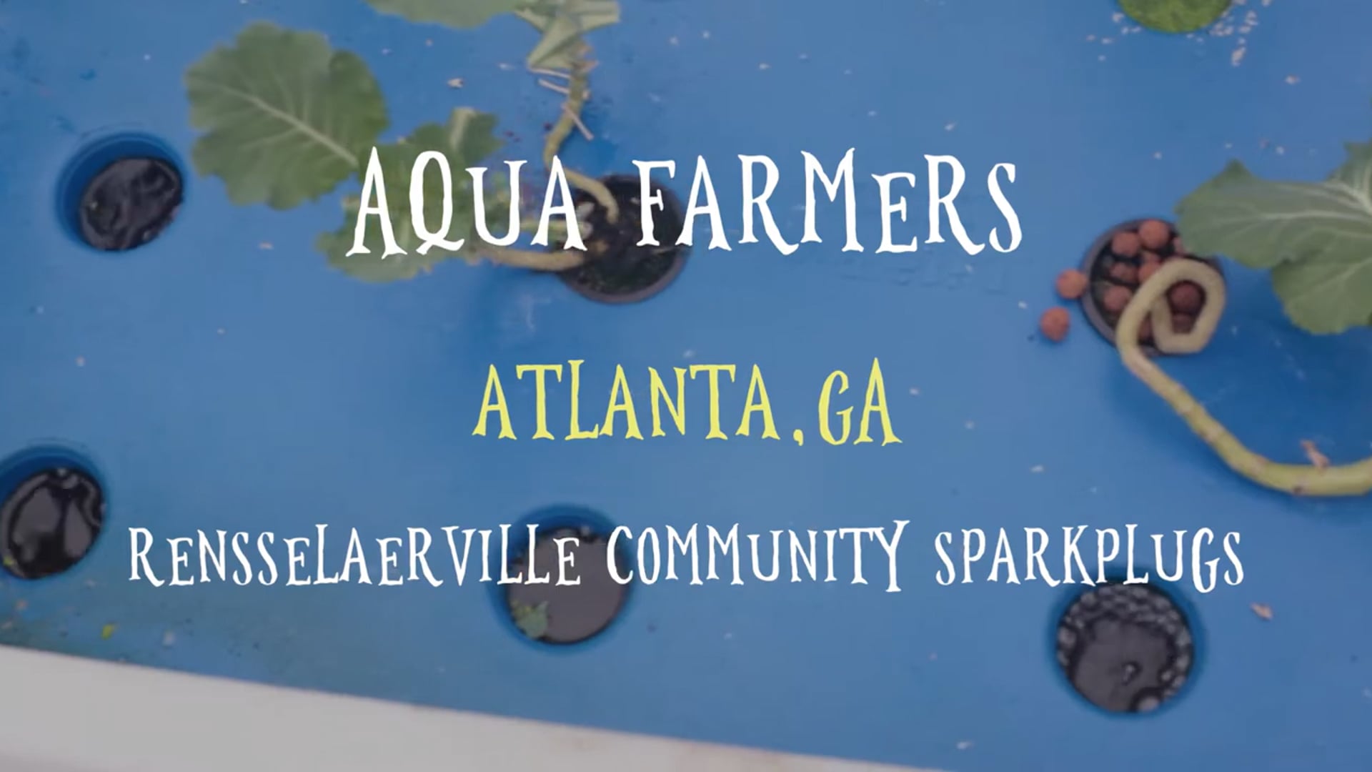 Aqua Farmers