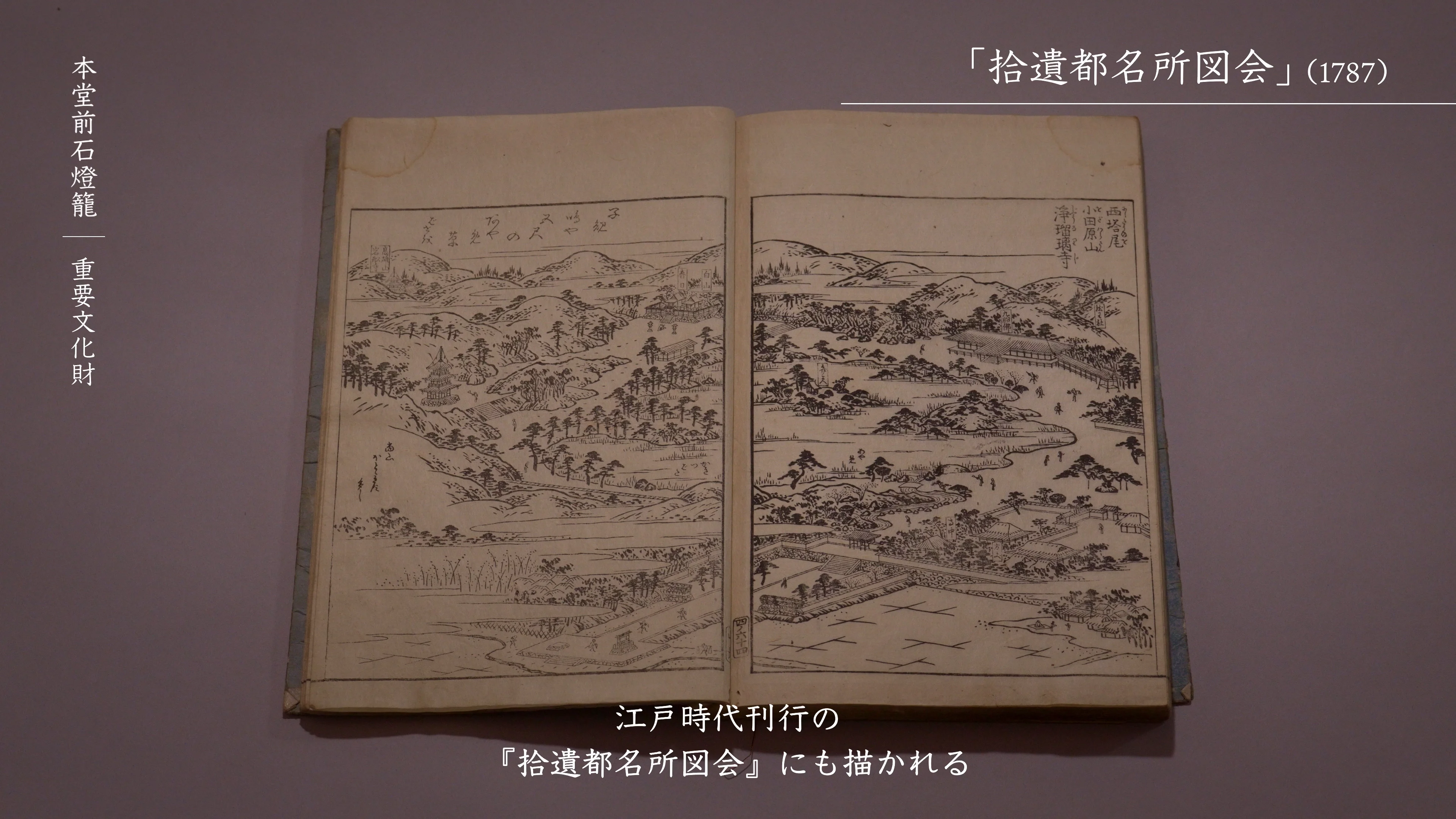 本堂前石灯籠｜文化遺産 ｜ Joruriji LENS