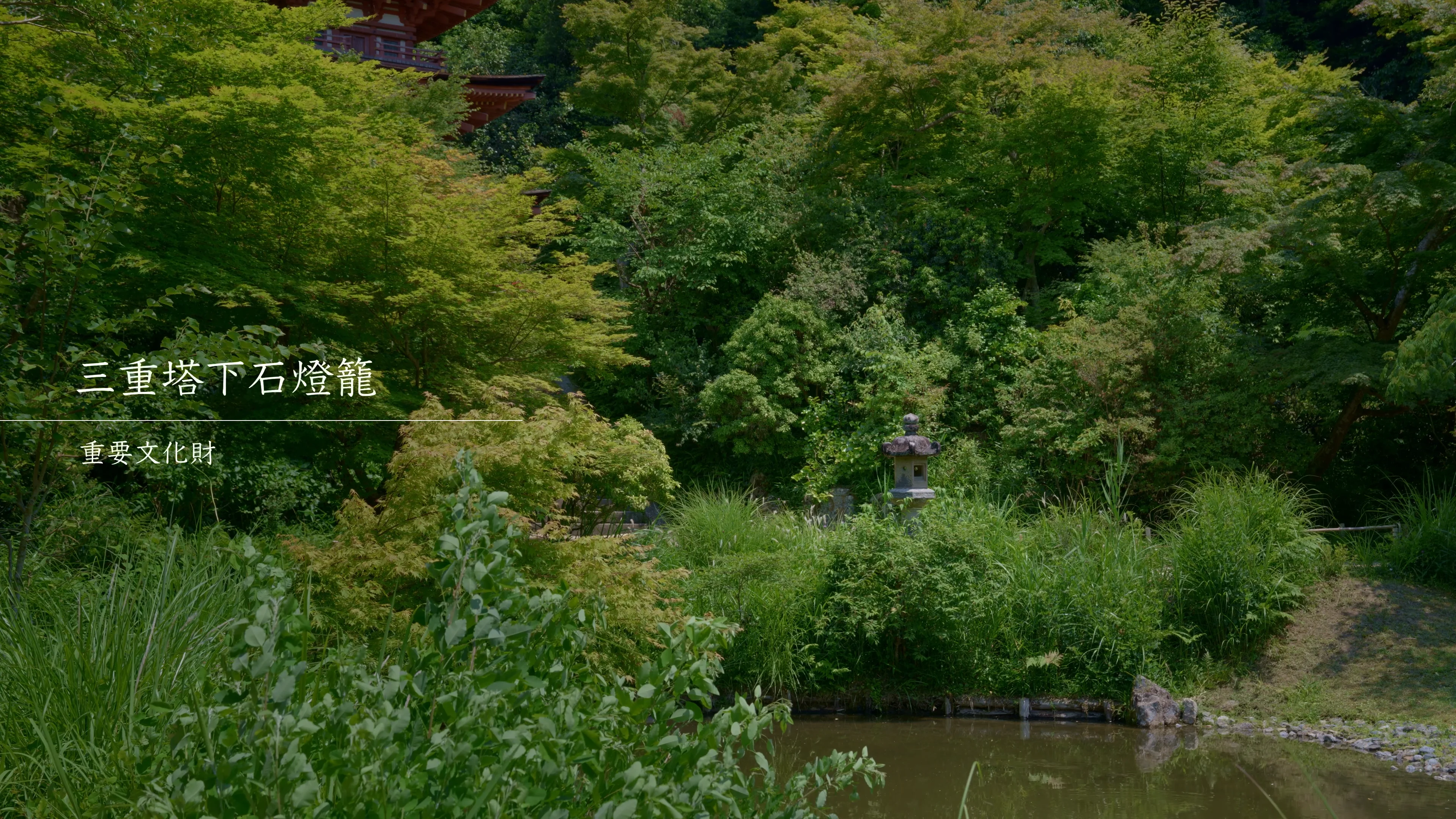 三重塔下石灯籠｜文化遺産 ｜ Joruriji LENS