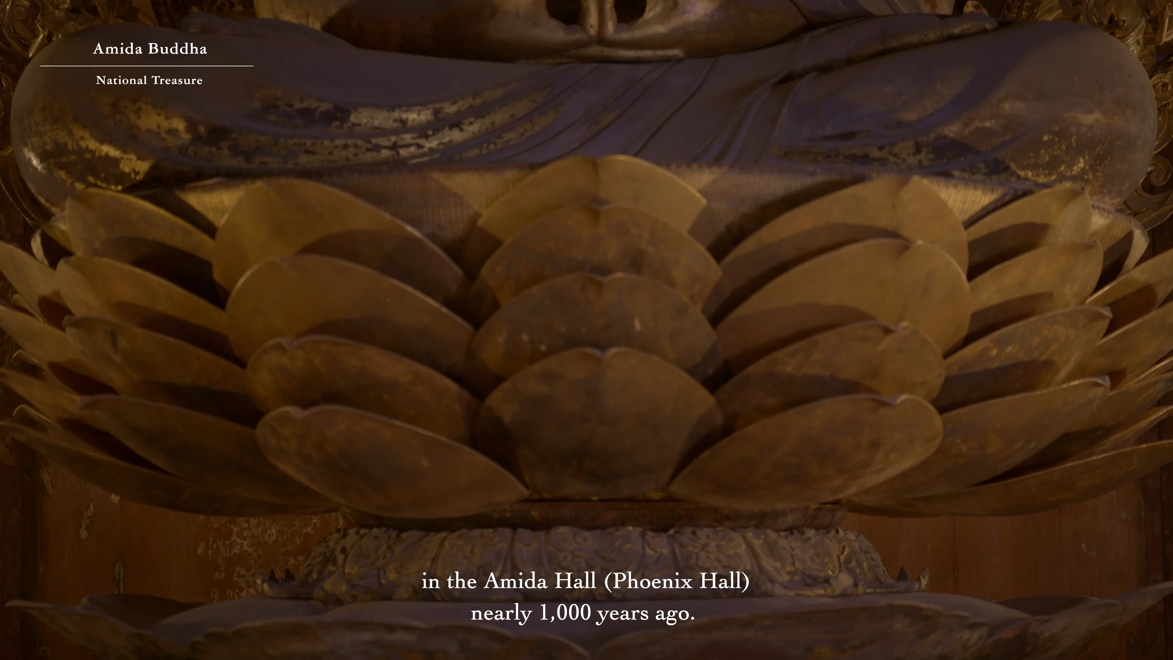 Amida Buddha(阿弥陀如来坐像)｜文化遺産 ｜ 平等院ガイド