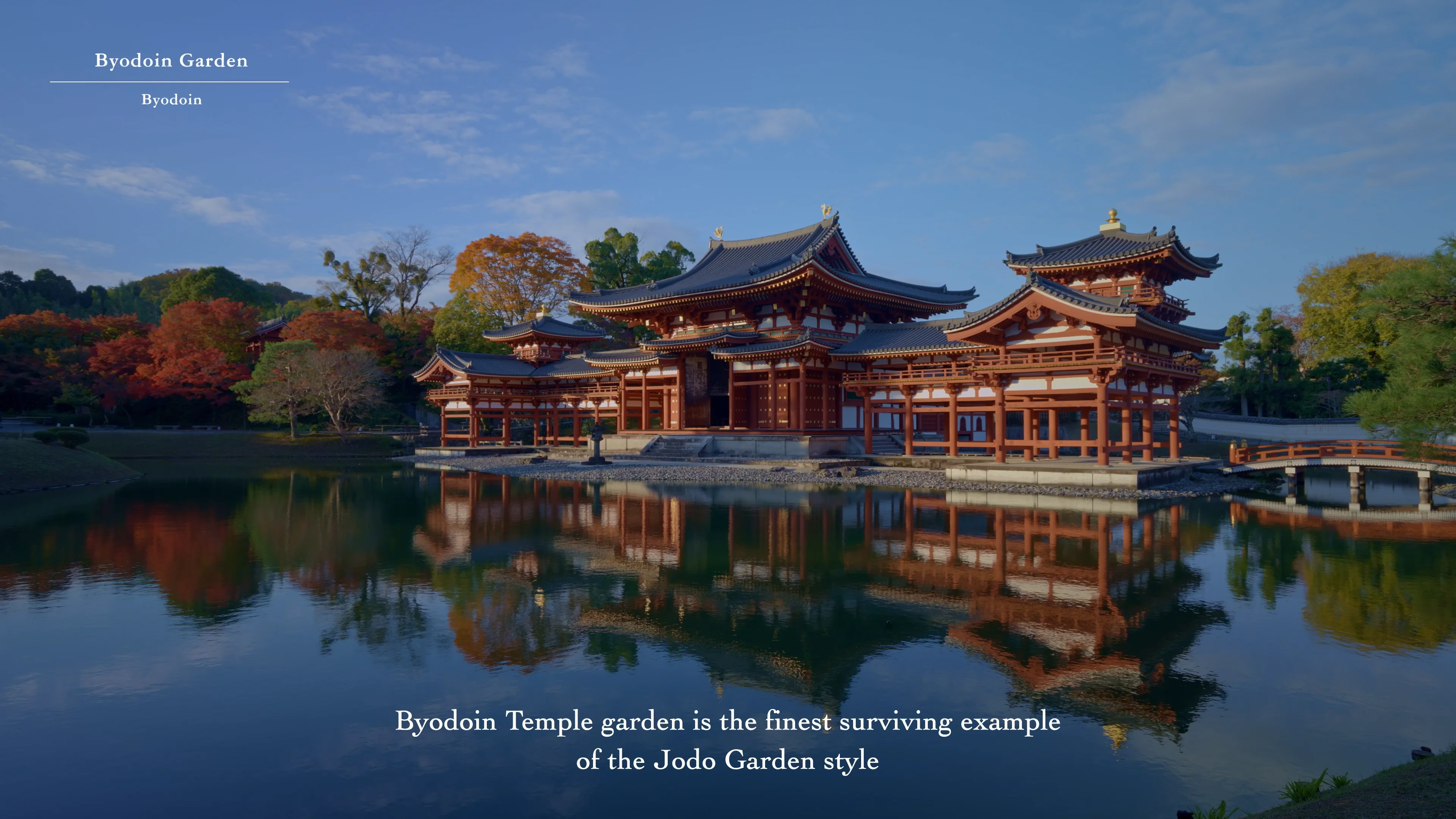 Jinsiy aloqa boyicha jahon chempionati