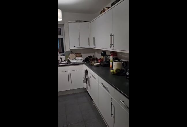 Video 1: