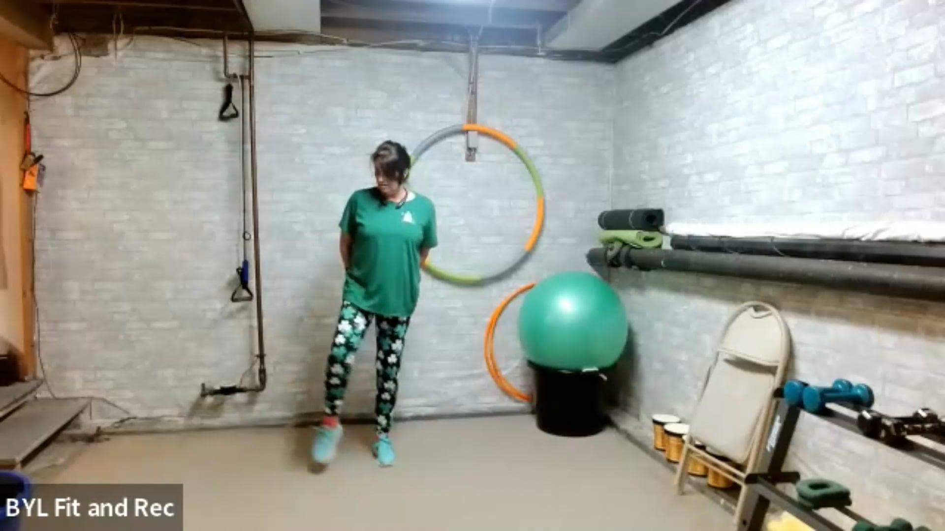 Day Fifteen Heart Health (3777 steps)