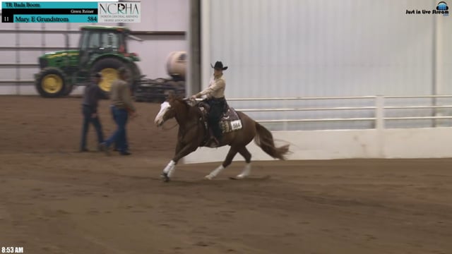 #584 Mary Gundstrom