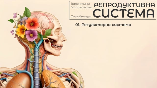 01. Регуляторна система;02. Будова органів жіночої репродуктивної системи;03. Менструація;04. Синдром полікістозних яєчників;05. Жирова маса та гормональні розлади;06. Гормональні розлади і кишківник. Стрес;07. Мікробіом піхви;08. Поліпи матки та фіброміома;09. Генікологічні кісти;10. Як тренуватися під час менструації;11. Тренування при болісних місячних;12. Менопауза;13. Менопауза та гормонозамісна терапія;14. Як тренуватися у переменопаузу та під час менопаузи;15. Прогин, як стимуляція надниркових в менопаузу;16. Інтервальне тренування у спрощеному форматі;17. Інтенсивне інтервальне тренування;18. Харчування в переменопаузу. Білок;19. Харчування. Вітаміни та мінерали;20. Остеопороз та рахіт в переменопаузу;21. Слабкість тазової діафрагми;22. Тренування при слабкості тазової діафрагми;23. Вправи кегля та черевні маніпуляціі;24. Техніка виконання черевних маніпуляцій;25. Секс та менопауза;26. Узагальнення рекомендацій для жінок по способу життя та тренуванням;27. Чоловіча репродуктивна система;28. Простатит;29. Варікоцелє;30. Аденома простати;31. Утримання від статевого акту;32. Загальні рекомендації для репродуктивного здоровʼя чоловіків