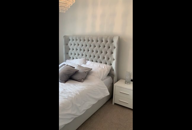 Female Loger Wanted - June  Main Photo