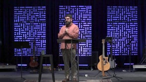 Avian Joy, Reptilian Wisdom | Ecclesiastes 9