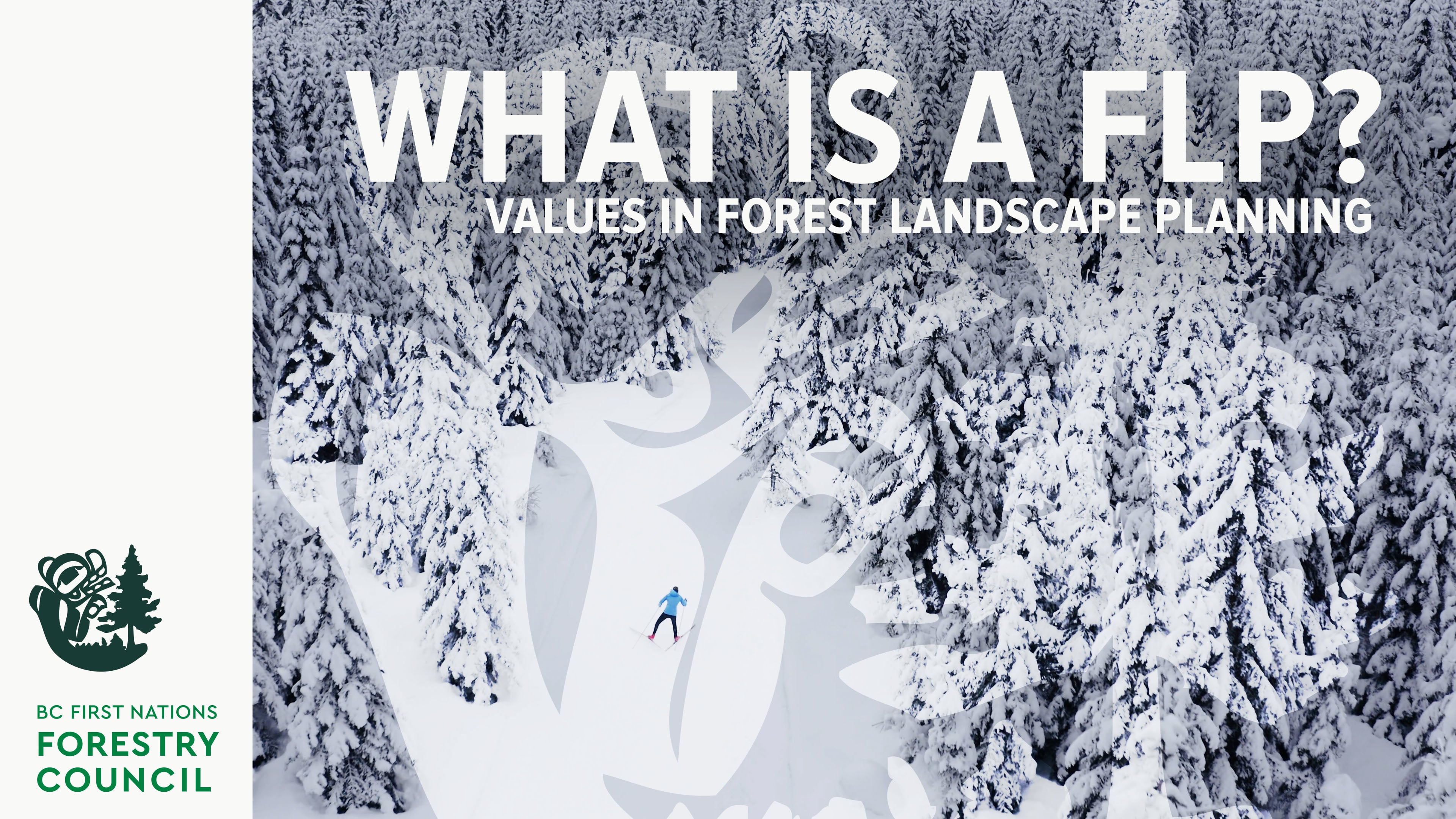 What is a FLP? | Values in Forest Landscape Planning