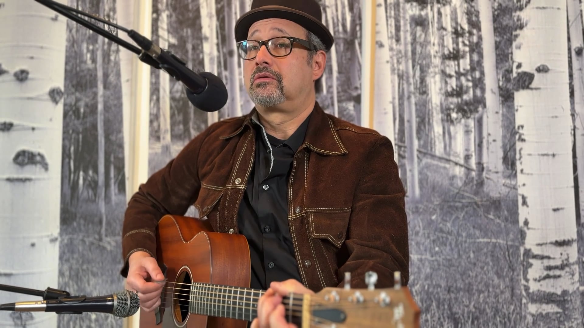 Promotional video thumbnail 2 for Jon Seltzer - The Song Man