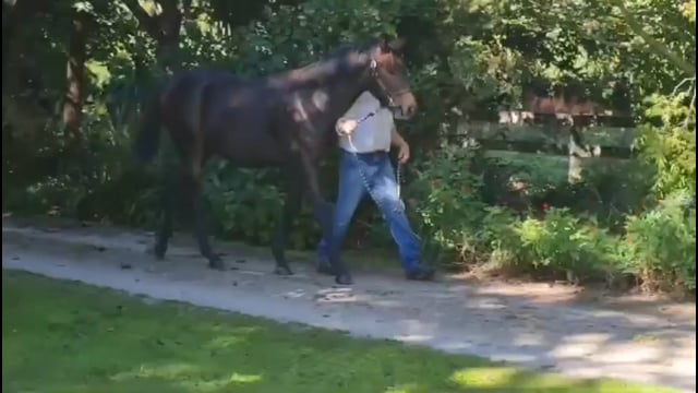 Lot 80