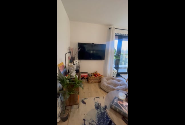 Video 1: