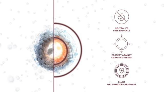 The Science Behind Vivix®