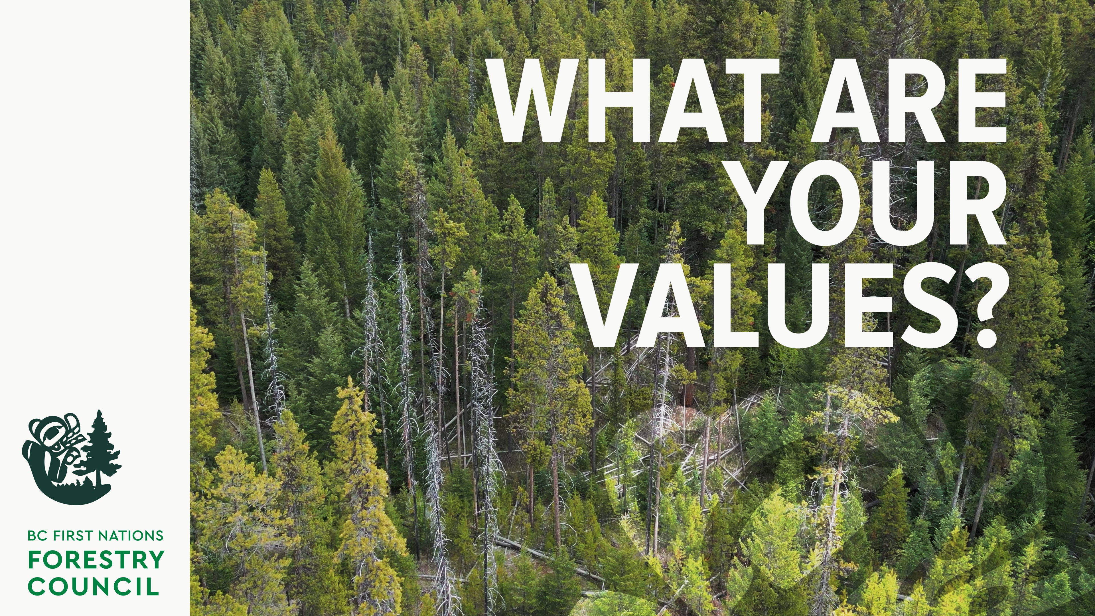 What Are Your Values?