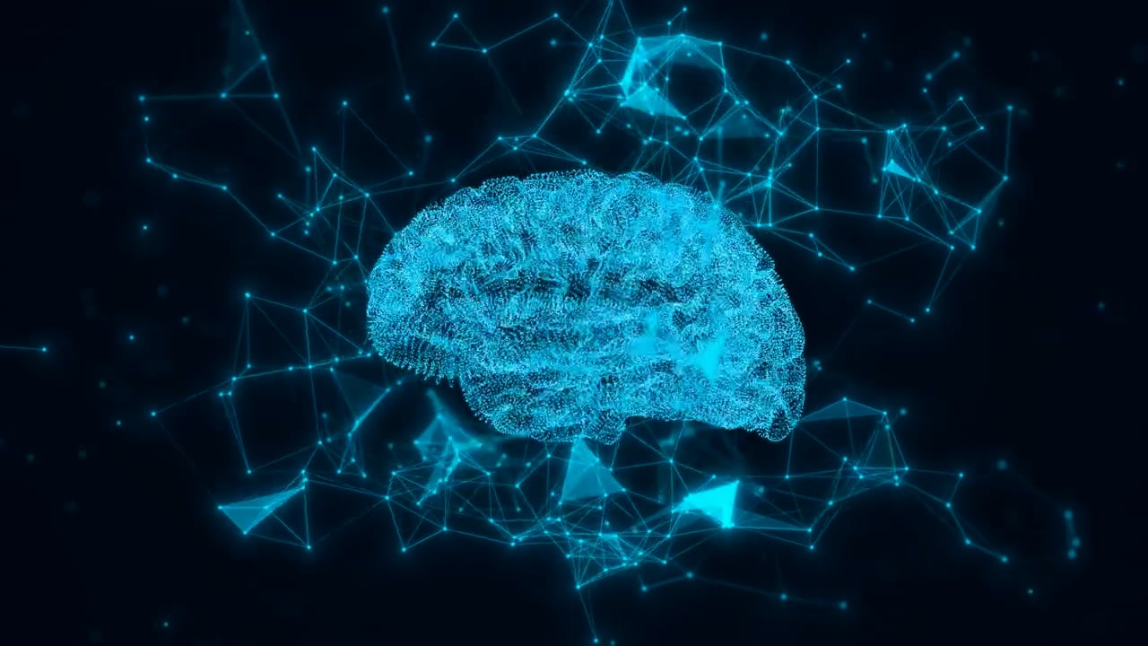 FIT360 Brands Application | 360 Degree Brain-Body Body-Brain