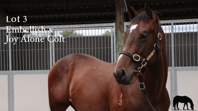 Lot 3