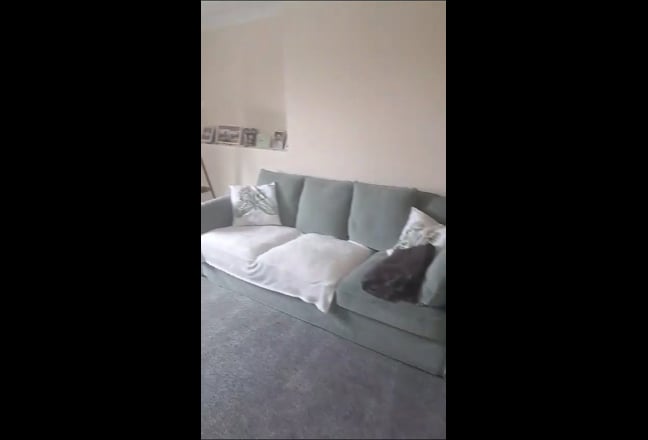 Video 1: