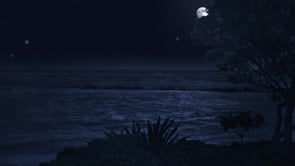 social header