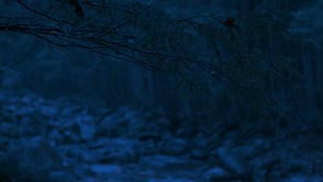 social header