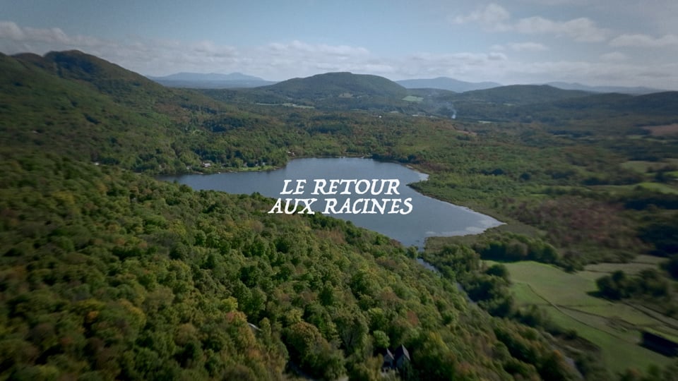 Terra Nova — Brand Story
