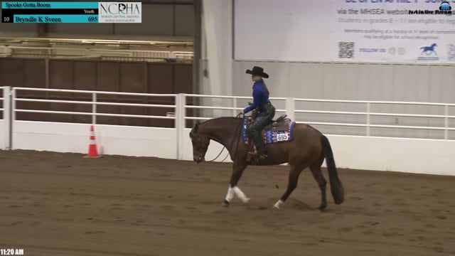 #695 Bryndle Sveen