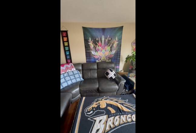 ISO Modest and Clean Roommate Main Photo