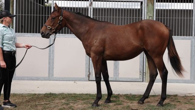Lot 2