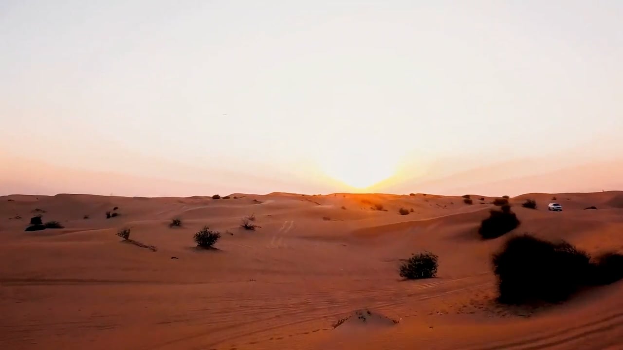 https://i.vimeocdn.com/video/1994998911-65091c49c9d433e9045d5a3161dd0457bcb29fae80dcd99aee005c4457d3ebd0-d