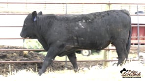 KHR 10M