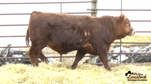 KHR 24M