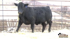 KHR 28M
